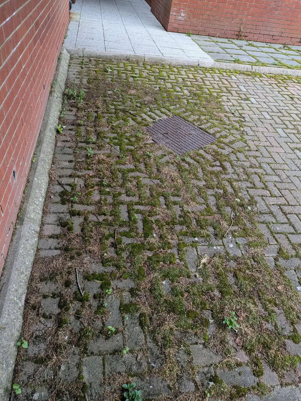 Commercial block paving and drainage dirty before cleaning