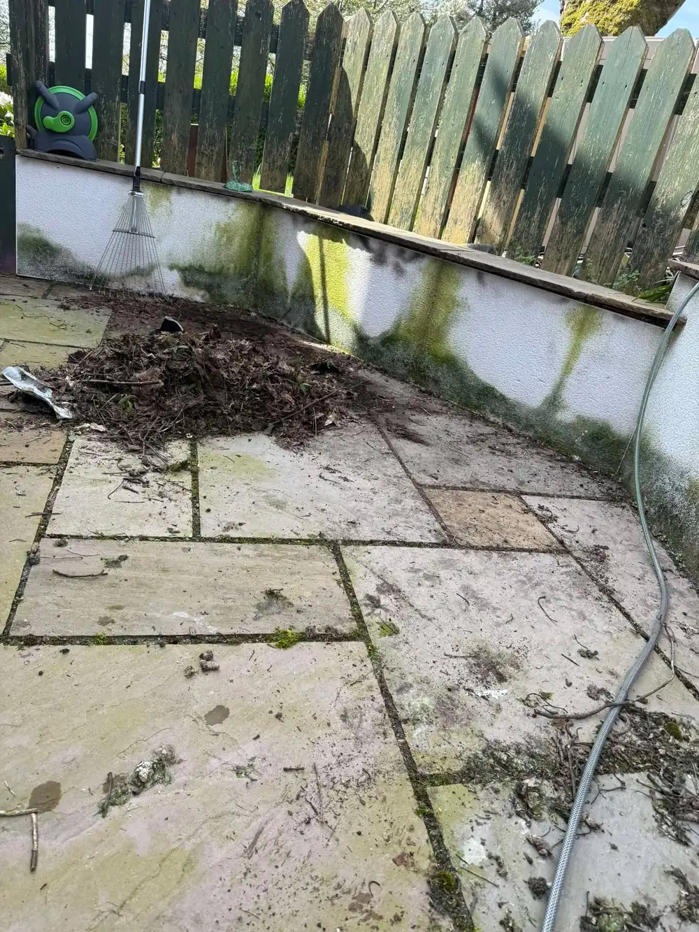 Sandstone terrace stained green with algae before cleaning
